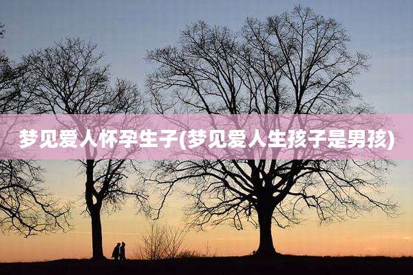 梦见爱人怀孕生子(梦见爱人生孩子是男孩)