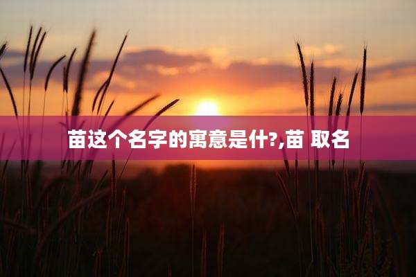 苗这个名字的寓意是什?,苗 取名
