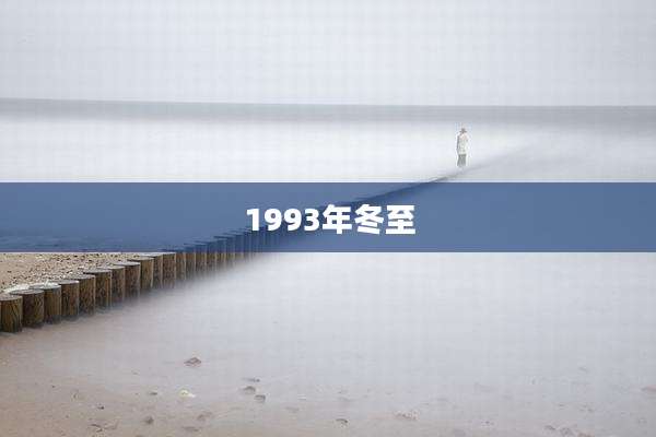 1993年冬至