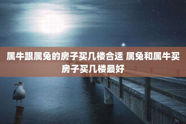 属牛跟属兔的房子买几楼合适 属兔和属牛买房子买几楼最好
