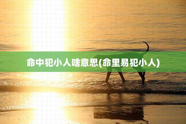 命中犯小人啥意思(命里易犯小人)