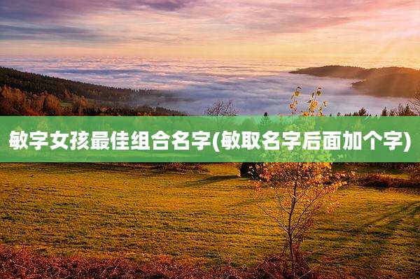 敏字女孩最佳组合名字(敏取名字后面加个字)