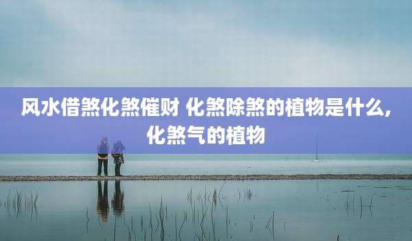 风水借煞化煞催财 化煞除煞的植物是什么,化煞气的植物