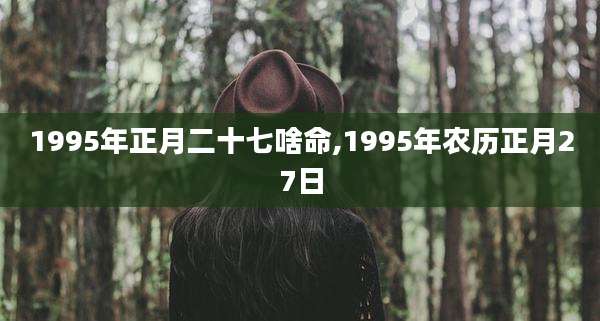 1995年正月二十七啥命,1995年农历正月27日