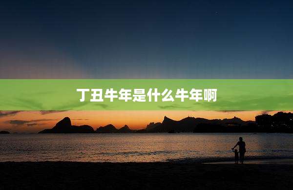 丁丑牛年是什么牛年啊