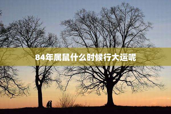 84年属鼠什么时候行大运呢
