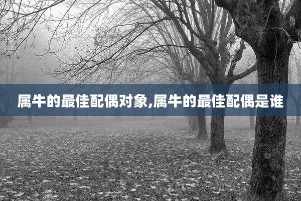 属牛的最佳配偶对象,属牛的最佳配偶是谁