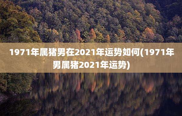 1971年属猪男在2021年运势如何(1971年男属猪2021年运势)