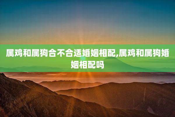 属鸡和属狗合不合适婚姻相配,属鸡和属狗婚姻相配吗