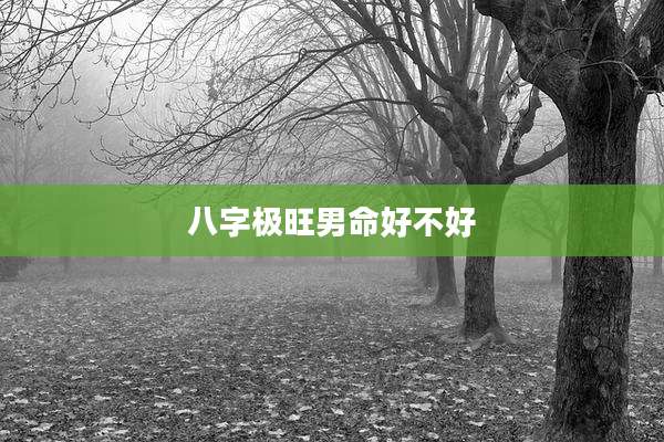 八字极旺男命好不好