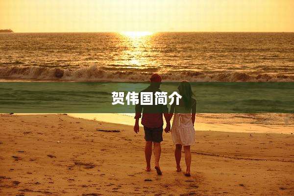 贺伟国简介