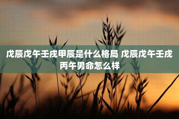 戊辰戊午壬戌甲辰是什么格局 戊辰戊午壬戌丙午男命怎么样