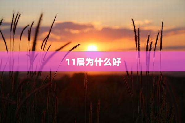 11层为什么好