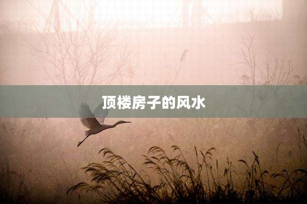 顶楼房子的风水