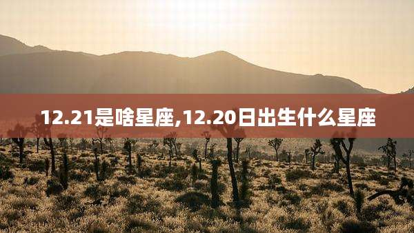 12.21是啥星座,12.20日出生什么星座