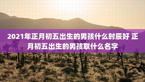2021年正月初五出生的男孩什么时辰好 正月初五出生的男孩取什么名字