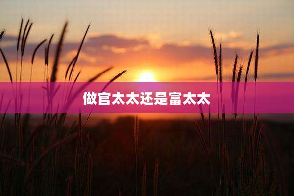 做官太太还是富太太