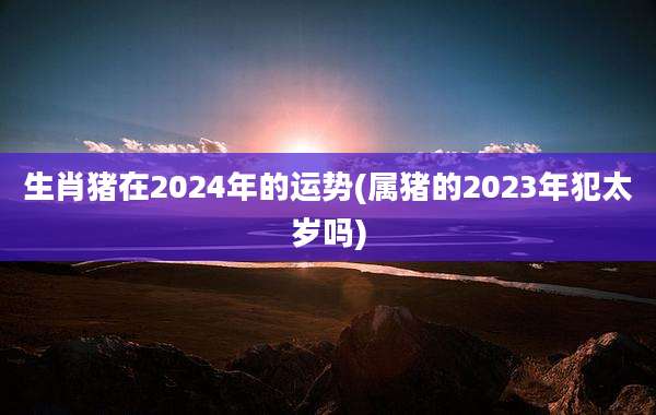 生肖猪在2024年的运势(属猪的2023年犯太岁吗)