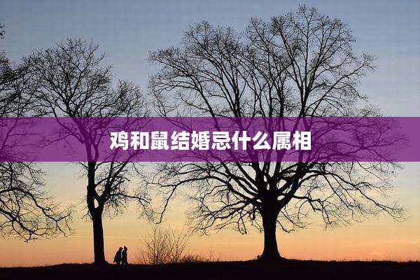 鸡和鼠结婚忌什么属相