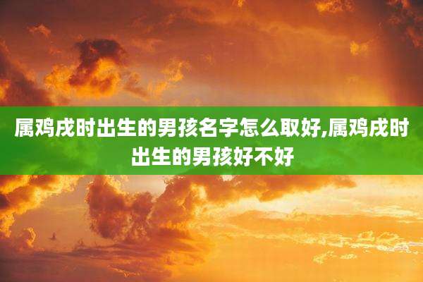 属鸡戌时出生的男孩名字怎么取好,属鸡戌时出生的男孩好不好
