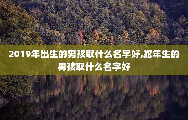 2019年出生的男孩取什么名字好,蛇年生的男孩取什么名字好