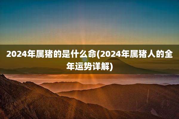 2024年属猪的是什么命(2024年属猪人的全年运势详解)