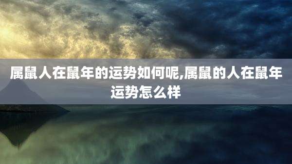 属鼠人在鼠年的运势如何呢,属鼠的人在鼠年运势怎么样