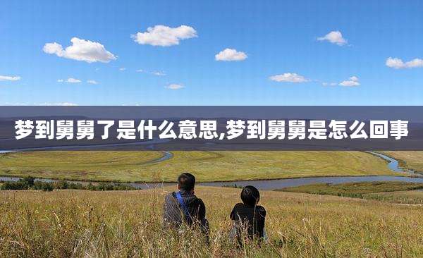 梦到舅舅了是什么意思,梦到舅舅是怎么回事
