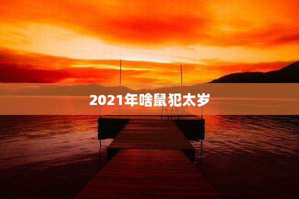 2021年啥鼠犯太岁