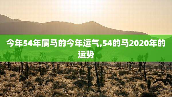 今年54年属马的今年运气,54的马2020年的运势