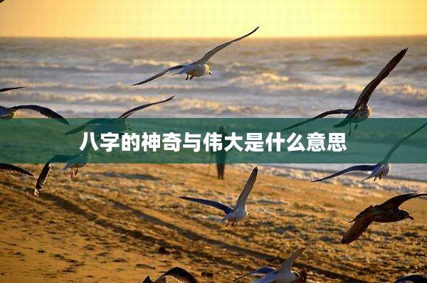 八字的神奇与伟大是什么意思