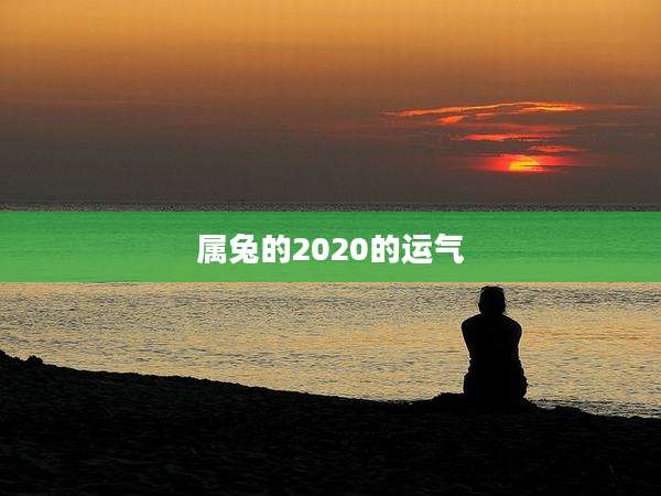 属兔的2020的运气