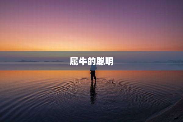 属牛的聪明
