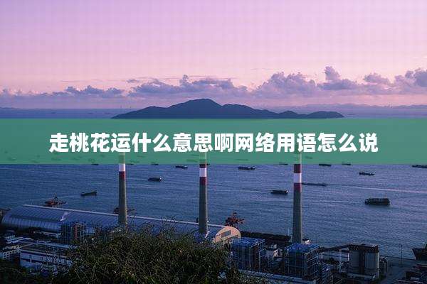 走桃花运什么意思啊网络用语怎么说