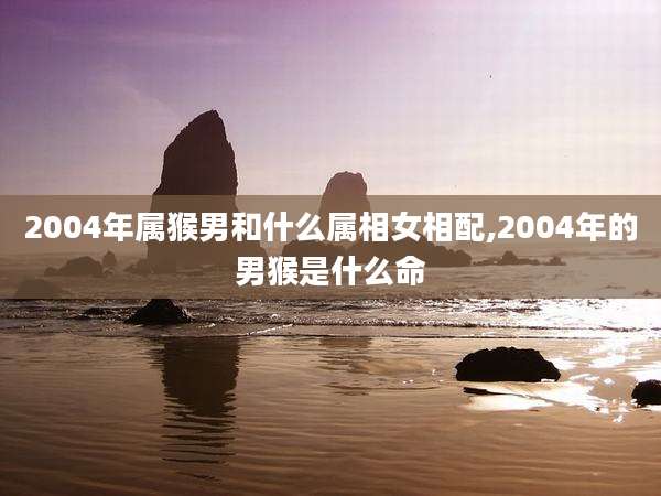 2004年属猴男和什么属相女相配,2004年的男猴是什么命