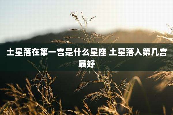 土星落在第一宫是什么星座 土星落入第几宫最好