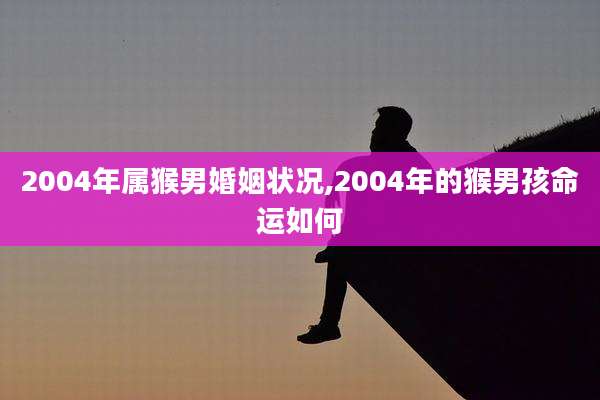 2004年属猴男婚姻状况,2004年的猴男孩命运如何