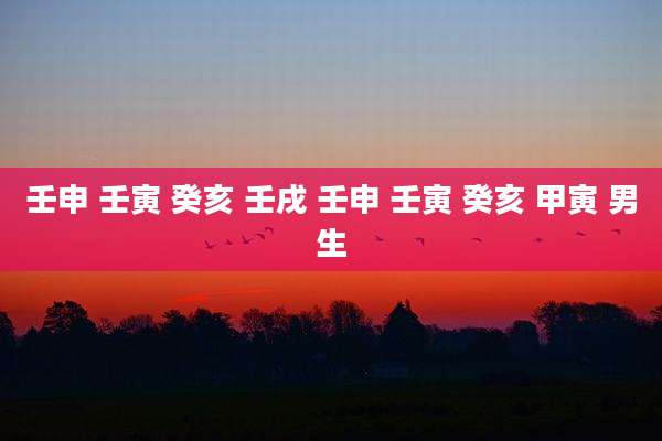 壬申 壬寅 癸亥 壬戌 壬申 壬寅 癸亥 甲寅 男生