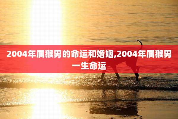 2004年属猴男的命运和婚姻,2004年属猴男一生命运