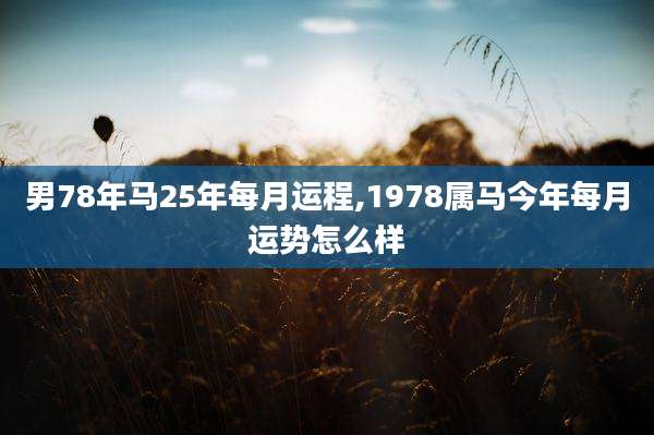 男78年马25年每月运程,1978属马今年每月运势怎么样
