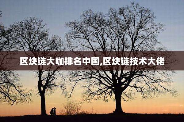 区块链大咖排名中国,区块链技术大佬