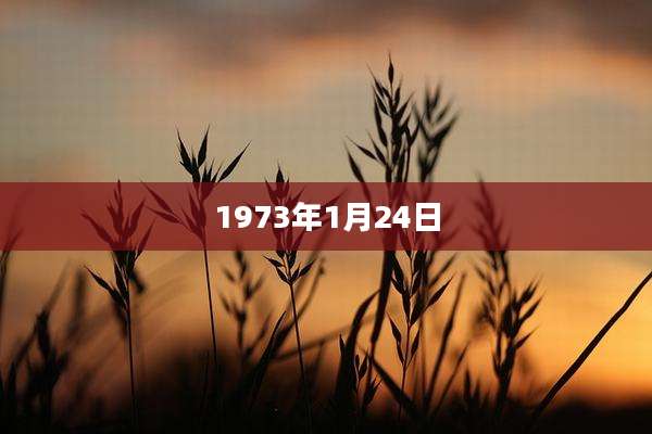1973年1月24日