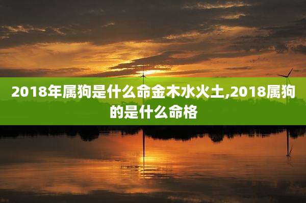2018年属狗是什么命金木水火土,2018属狗的是什么命格