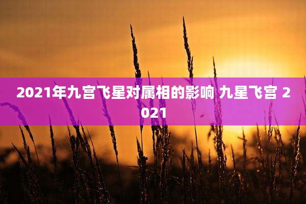 2021年九宫飞星对属相的影响 九星飞宫 2021
