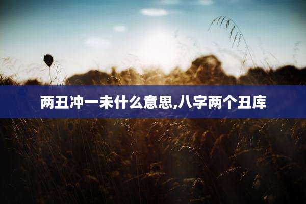两丑冲一未什么意思,八字两个丑库