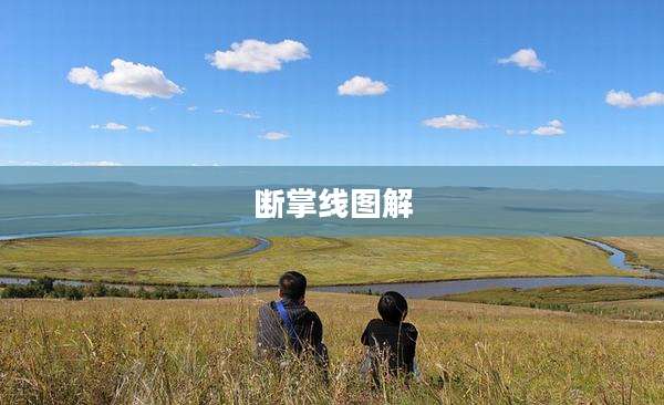 断掌线图解