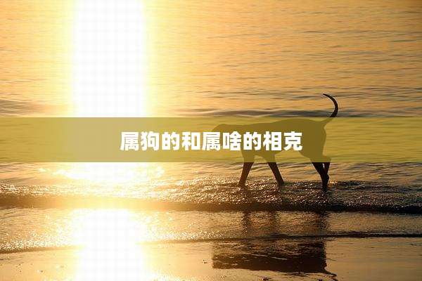 属狗的和属啥的相克