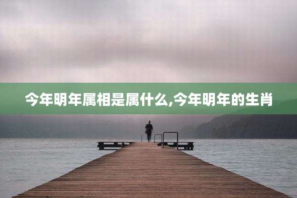 今年明年属相是属什么,今年明年的生肖