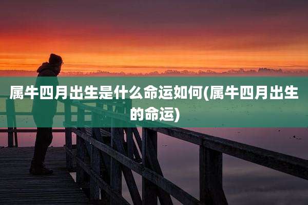 属牛四月出生是什么命运如何(属牛四月出生的命运)