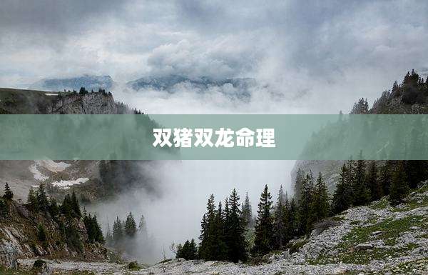 双猪双龙命理